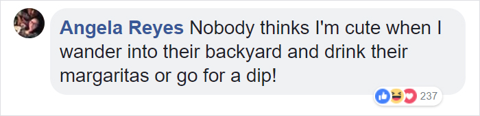 Guy Films Bear Chilling In His Jacuzzi Drinking A Margarita, But It Doesn't End There Guy Films Bear Chilling In His Jacuzzi Drinking A Margarita, But It Doesn't End There