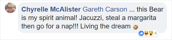 Guy Films Bear Chilling In His Jacuzzi Drinking A Margarita, But It Doesn't End There