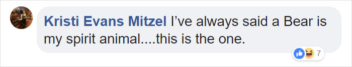 Guy Films Bear Chilling In His Jacuzzi Drinking A Margarita, But It Doesn't End There Guy Films Bear Chilling In His Jacuzzi Drinking A Margarita, But It Doesn't End There