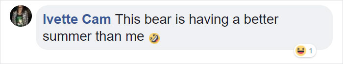 Guy Films Bear Chilling In His Jacuzzi Drinking A Margarita, But It Doesn't End There Guy Films Bear Chilling In His Jacuzzi Drinking A Margarita, But It Doesn't End There