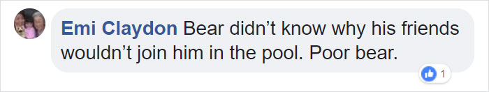 Guy Films Bear Chilling In His Jacuzzi Drinking A Margarita, But It Doesn't End There