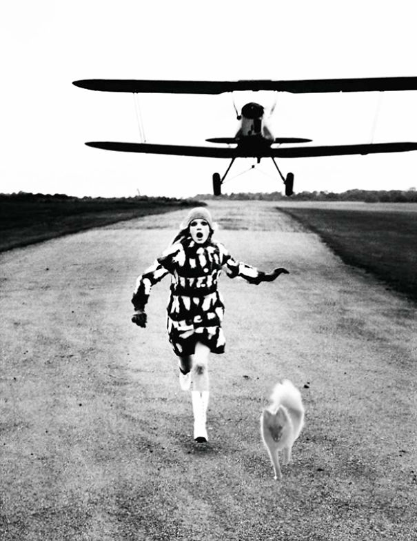 10 Times This Dog Photobombed Iconic Helmut Newton Pics With Hilarious Results (Nsfw) 10 Times This Dog Photobombed Iconic Helmut Newton Pics With Hilarious Results (Nsfw)