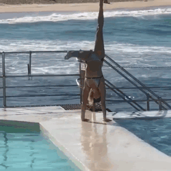 Boyfriends Of Instagram