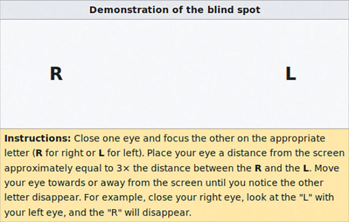 The Craziest Things Our Brains Do Without Us Knowing