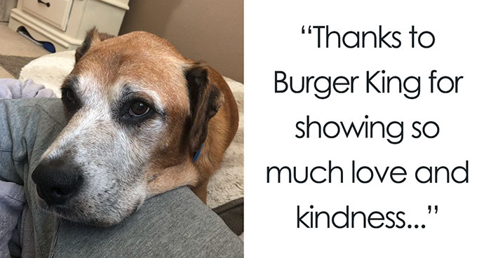 Sick Dog Get His Dream Fullfilled By Burger King After They Offer Free Burgers For The Rest Of His Life