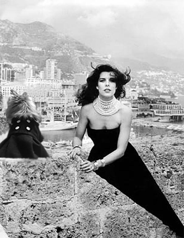 10 Times This Dog Photobombed Iconic Helmut Newton Pics With Hilarious Results (Nsfw)