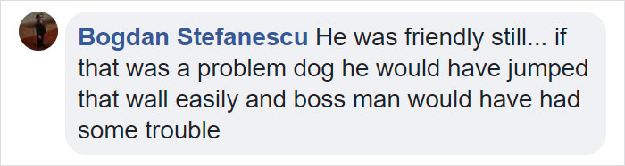 Terrified Workers Ran For Their Lives From An Approaching Pit Bull, But One Guy Knew Exactly What To Do Terrified Workers Ran For Their Lives From An Approaching Pit Bull, But One Guy Knew Exactly What To Do