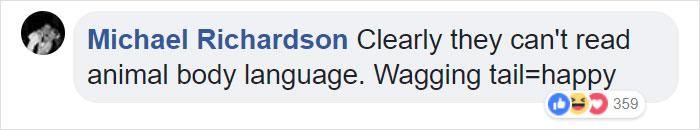 Terrified Workers Ran For Their Lives From An Approaching Pit Bull, But One Guy Knew Exactly What To Do Terrified Workers Ran For Their Lives From An Approaching Pit Bull, But One Guy Knew Exactly What To Do