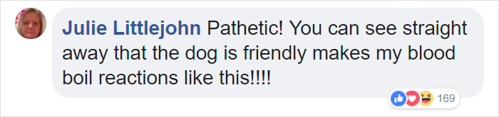 Terrified Workers Ran For Their Lives From An Approaching Pit Bull, But One Guy Knew Exactly What To Do Terrified Workers Ran For Their Lives From An Approaching Pit Bull, But One Guy Knew Exactly What To Do