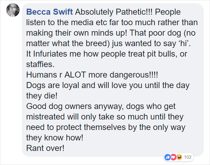 Terrified Workers Ran For Their Lives From An Approaching Pit Bull, But One Guy Knew Exactly What To Do Terrified Workers Ran For Their Lives From An Approaching Pit Bull, But One Guy Knew Exactly What To Do