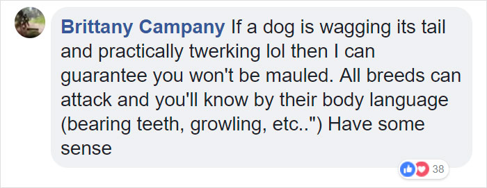 Terrified Workers Ran For Their Lives From An Approaching Pit Bull, But One Guy Knew Exactly What To Do Terrified Workers Ran For Their Lives From An Approaching Pit Bull, But One Guy Knew Exactly What To Do