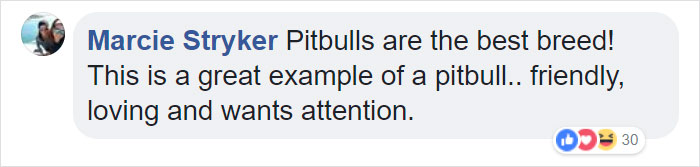 Terrified Workers Ran For Their Lives From An Approaching Pit Bull, But One Guy Knew Exactly What To Do Terrified Workers Ran For Their Lives From An Approaching Pit Bull, But One Guy Knew Exactly What To Do