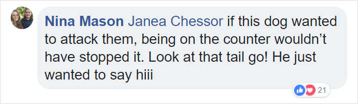 Terrified Workers Ran For Their Lives From An Approaching Pit Bull, But One Guy Knew Exactly What To Do Terrified Workers Ran For Their Lives From An Approaching Pit Bull, But One Guy Knew Exactly What To Do