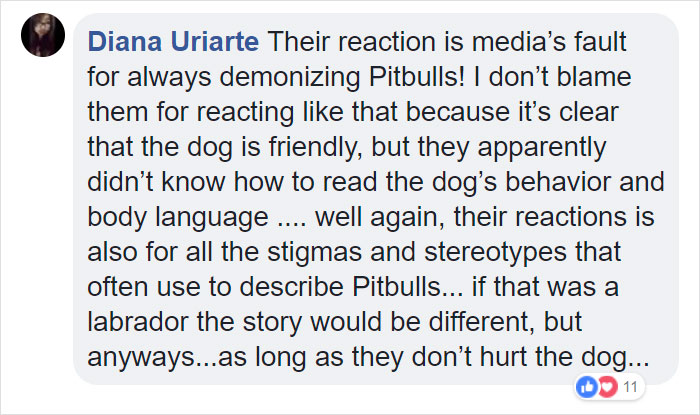 Terrified Workers Ran For Their Lives From An Approaching Pit Bull, But One Guy Knew Exactly What To Do Terrified Workers Ran For Their Lives From An Approaching Pit Bull, But One Guy Knew Exactly What To Do