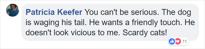 Terrified Workers Ran For Their Lives From An Approaching Pit Bull, But One Guy Knew Exactly What To Do Terrified Workers Ran For Their Lives From An Approaching Pit Bull, But One Guy Knew Exactly What To Do