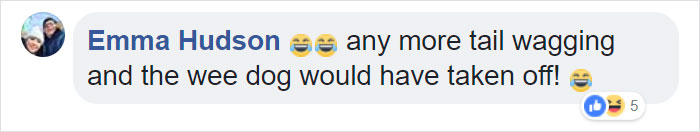 Terrified Workers Ran For Their Lives From An Approaching Pit Bull, But One Guy Knew Exactly What To Do Terrified Workers Ran For Their Lives From An Approaching Pit Bull, But One Guy Knew Exactly What To Do