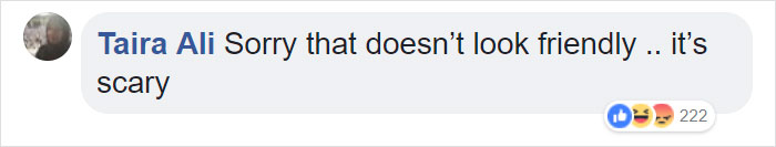 Terrified Workers Ran For Their Lives From An Approaching Pit Bull, But One Guy Knew Exactly What To Do Terrified Workers Ran For Their Lives From An Approaching Pit Bull, But One Guy Knew Exactly What To Do