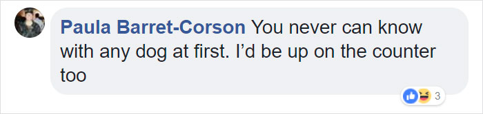 Terrified Workers Ran For Their Lives From An Approaching Pit Bull, But One Guy Knew Exactly What To Do Terrified Workers Ran For Their Lives From An Approaching Pit Bull, But One Guy Knew Exactly What To Do