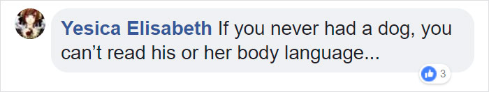 Terrified Workers Ran For Their Lives From An Approaching Pit Bull, But One Guy Knew Exactly What To Do Terrified Workers Ran For Their Lives From An Approaching Pit Bull, But One Guy Knew Exactly What To Do