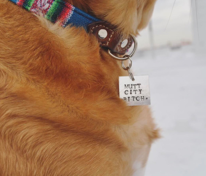 You Need These Salty, Sweet And Spicy Pet Id Tags