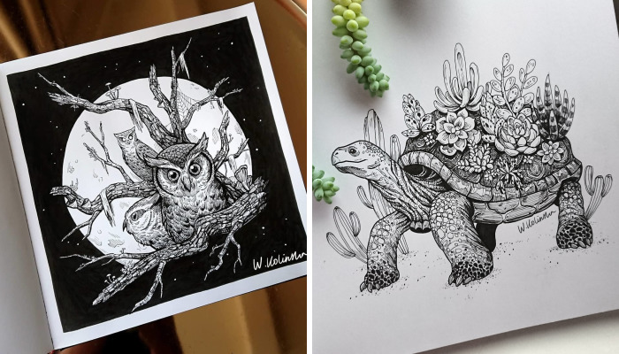 30 Intricate Drawings Of Animals Created By Me