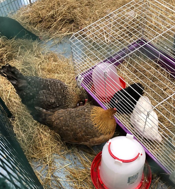 Mom Calls Daughter Asking If She Can 'Keep A Secret' From Dad, And It Escalates Hilariously Mom Calls Daughter Asking If She Can 'Keep A Secret' From Dad, And It Escalates Hilariously