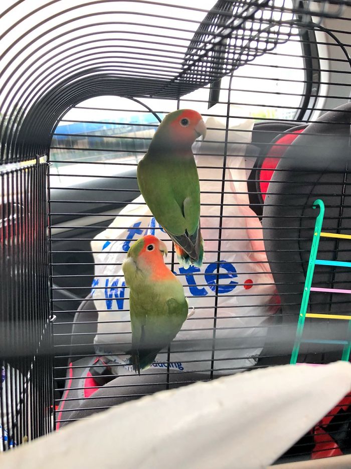 Mom Calls Daughter Asking If She Can 'Keep A Secret' From Dad, And It Escalates Hilariously Mom Calls Daughter Asking If She Can 'Keep A Secret' From Dad, And It Escalates Hilariously