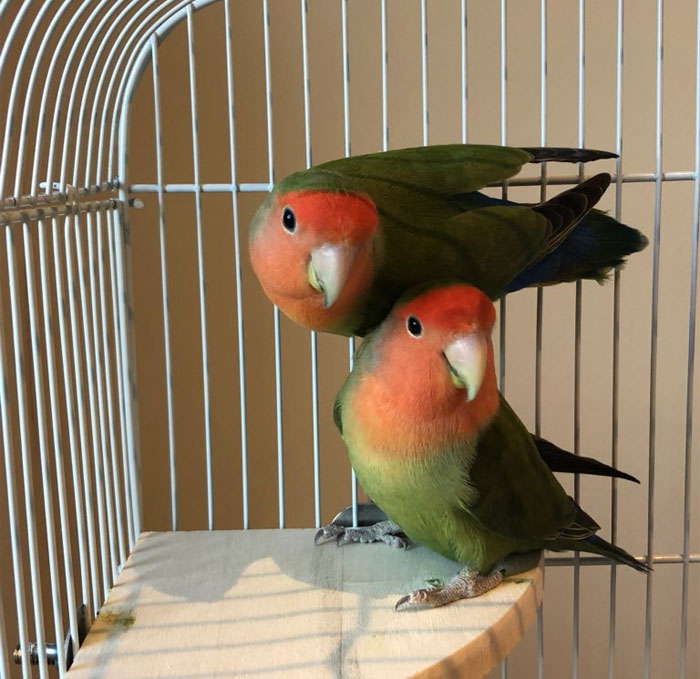 Mom Calls Daughter Asking If She Can 'Keep A Secret' From Dad, And It Escalates Hilariously Mom Calls Daughter Asking If She Can 'Keep A Secret' From Dad, And It Escalates Hilariously