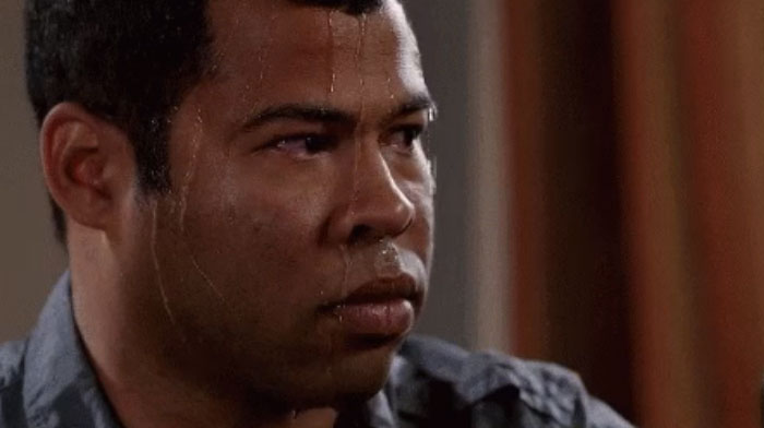 crazy-mom-buys-parrots-twitter-img-102 crazy-mom-buys-parrots-twitter-img-102