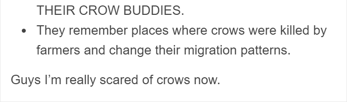 crows-smart-animals (4)