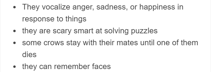 People Share Amazing Examples Of How Smart Crows Are, And Some Are Hard To Believe