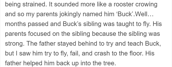 People Share Amazing Examples Of How Smart Crows Are, And Some Are Hard To Believe People Share Amazing Examples Of How Smart Crows Are, And Some Are Hard To Believe