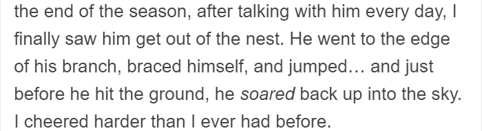 People Share Amazing Examples Of How Smart Crows Are, And Some Are Hard To Believe