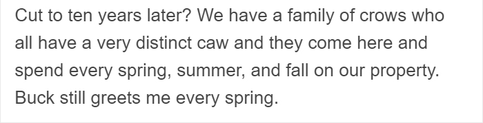 People Share Amazing Examples Of How Smart Crows Are, And Some Are Hard To Believe