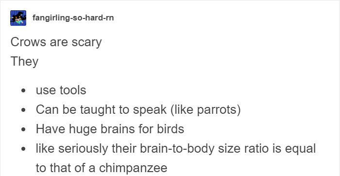 People Share Amazing Examples Of How Smart Crows Are, And Some Are Hard To Believe