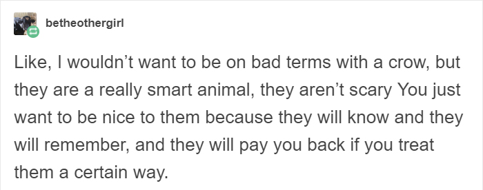 People Share Amazing Examples Of How Smart Crows Are, And Some Are Hard To Believe