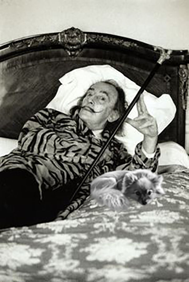 10 Times This Dog Photobombed Iconic Helmut Newton Pics With Hilarious Results (Nsfw) 10 Times This Dog Photobombed Iconic Helmut Newton Pics With Hilarious Results (Nsfw)