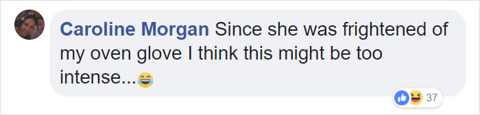 People Are Impressed At This Genius Surprise Dad Makes For His Dinosaur-Obsessed Daughter People Are Impressed At This Genius Surprise Dad Makes For His Dinosaur-Obsessed Daughter