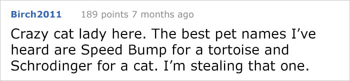 Pizza Guy Sees Dog Running Towards Him At 2AM While Woman Shouts “Shoot Her”, Reaches For His Gun