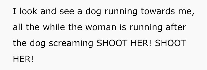 Pizza Guy Sees Dog Running Towards Him At 2AM While Woman Shouts “Shoot Her”, Reaches For His Gun