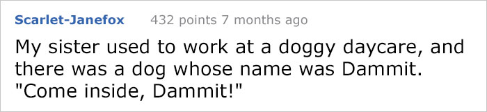 Pizza Guy Sees Dog Running Towards Him At 2AM While Woman Shouts “Shoot Her”, Reaches For His Gun Pizza Guy Sees Dog Running Towards Him At 2AM While Woman Shouts “Shoot Her”, Reaches For His Gun