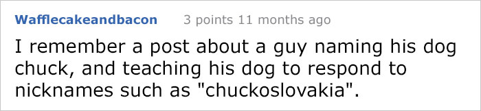 dog-name-shooter-nearly-shot-22 dog-name-shooter-nearly-shot-22