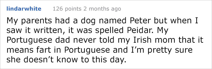 dog-name-shooter-nearly-shot-26 dog-name-shooter-nearly-shot-26