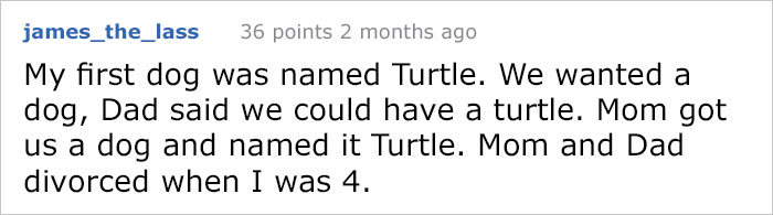 dog-name-shooter-nearly-shot-27 dog-name-shooter-nearly-shot-27