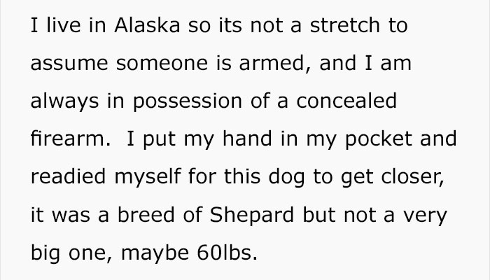 Pizza Guy Sees Dog Running Towards Him At 2AM While Woman Shouts “Shoot Her”, Reaches For His Gun Pizza Guy Sees Dog Running Towards Him At 2AM While Woman Shouts “Shoot Her”, Reaches For His Gun