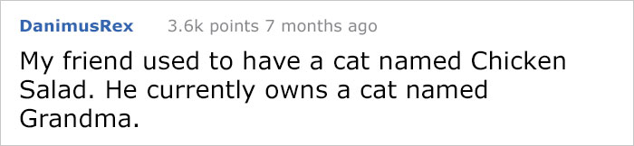 Pizza Guy Sees Dog Running Towards Him At 2AM While Woman Shouts “Shoot Her”, Reaches For His Gun Pizza Guy Sees Dog Running Towards Him At 2AM While Woman Shouts “Shoot Her”, Reaches For His Gun