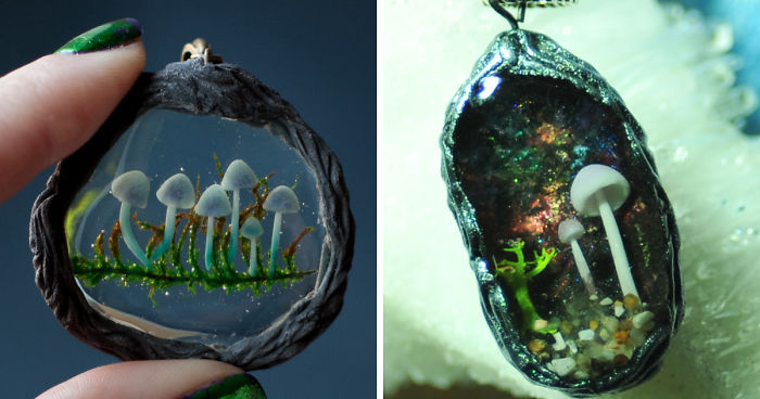 I Want To Show You The Cozy Forest Microcosms, Created By Me