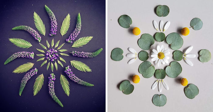 I Create Mandalas From Things I Find In Nature As A Way To Meditate