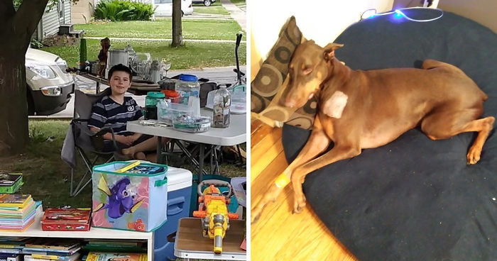 Boy Sells His Toys To Pay For His Service Dog’s Treatment