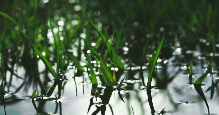 It Doesn’t Matter What Equipment You Shoot With